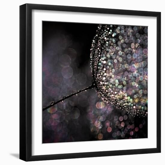 Chandelier-Ursula Abresch-Framed Premium Photographic Print