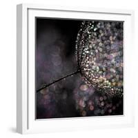 Chandelier-Ursula Abresch-Framed Premium Photographic Print