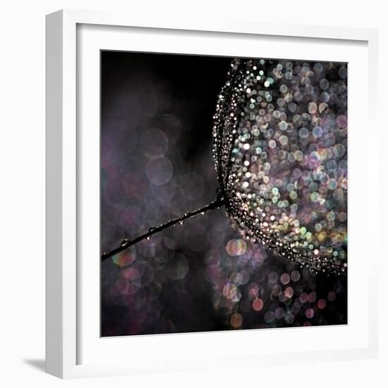 Chandelier-Ursula Abresch-Framed Premium Photographic Print