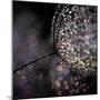 Chandelier-Ursula Abresch-Mounted Premium Photographic Print