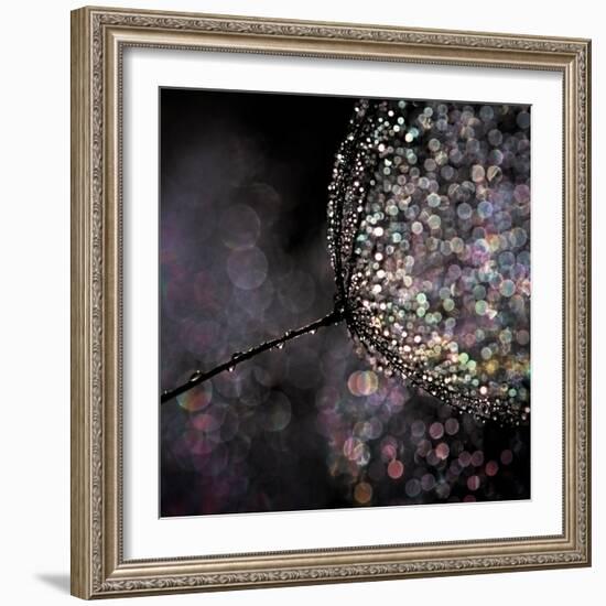 Chandelier-Ursula Abresch-Framed Photographic Print