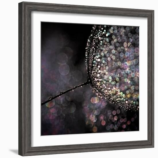 Chandelier-Ursula Abresch-Framed Photographic Print