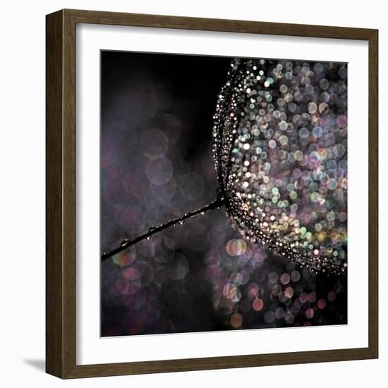 Chandelier-Ursula Abresch-Framed Photographic Print