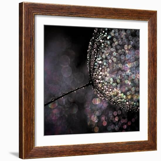 Chandelier-Ursula Abresch-Framed Photographic Print