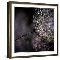 Chandelier-Ursula Abresch-Framed Photographic Print