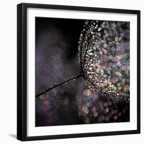 Chandelier-Ursula Abresch-Framed Photographic Print