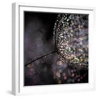 Chandelier-Ursula Abresch-Framed Photographic Print