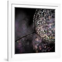 Chandelier-Ursula Abresch-Framed Photographic Print