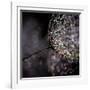 Chandelier-Ursula Abresch-Framed Photographic Print