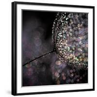 Chandelier-Ursula Abresch-Framed Photographic Print