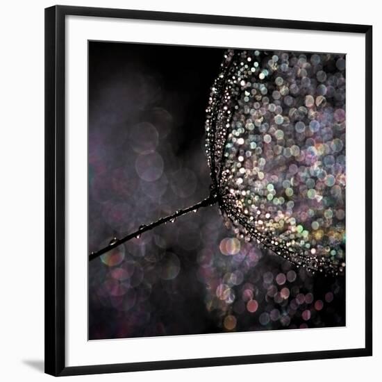 Chandelier-Ursula Abresch-Framed Photographic Print