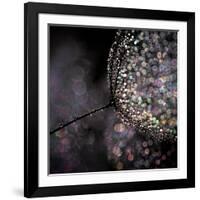 Chandelier-Ursula Abresch-Framed Photographic Print