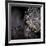 Chandelier-Ursula Abresch-Framed Photographic Print