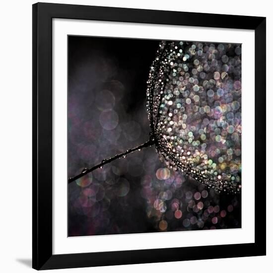 Chandelier-Ursula Abresch-Framed Photographic Print