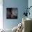 Chandelier-Ursula Abresch-Mounted Photographic Print displayed on a wall