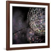 Chandelier-Ursula Abresch-Framed Photographic Print