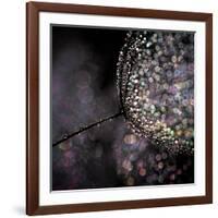 Chandelier-Ursula Abresch-Framed Photographic Print