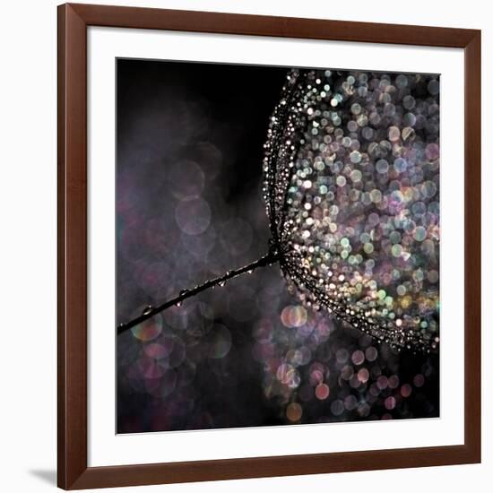 Chandelier-Ursula Abresch-Framed Photographic Print