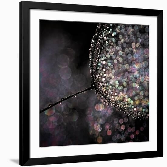 Chandelier-Ursula Abresch-Framed Photographic Print