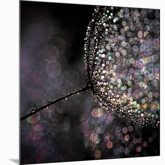 Chandelier-Ursula Abresch-Mounted Photographic Print