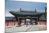 Changdeokgung Palace, UNESCO World Heritage Site, Seoul, South Korea, Asia-Michael-Mounted Photographic Print