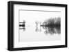 Changes-Paulo Abrantes-Framed Photographic Print