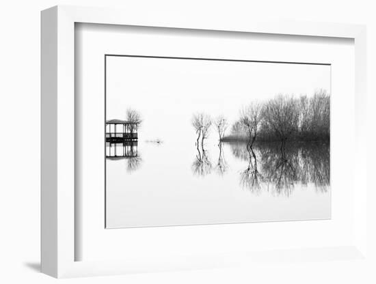 Changes-Paulo Abrantes-Framed Photographic Print