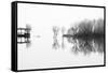 Changes-Paulo Abrantes-Framed Stretched Canvas