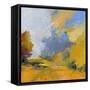 Changes-Toby Gordon-Framed Stretched Canvas