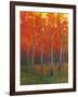 Changing Colors II-Tim O'toole-Framed Art Print