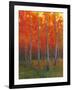 Changing Colors II-Tim O'toole-Framed Art Print