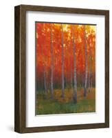 Changing Colors II-Tim O'toole-Framed Art Print