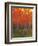 Changing Colors II-Tim O'toole-Framed Art Print