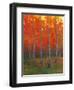 Changing Colors II-Tim O'toole-Framed Art Print