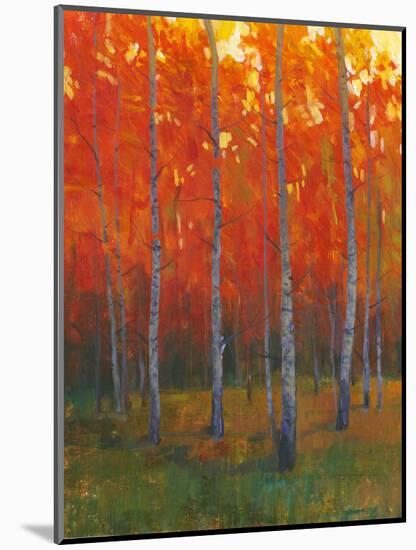 Changing Colors II-Tim O'toole-Mounted Art Print