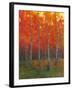 Changing Colors II-Tim O'toole-Framed Art Print