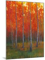 Changing Colors II-Tim O'toole-Mounted Art Print