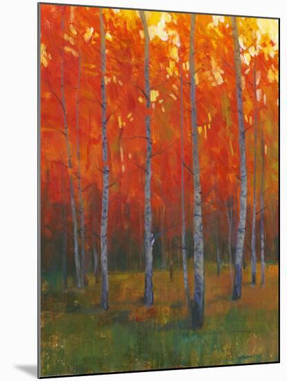 Changing Colors II-Tim O'toole-Mounted Art Print