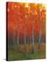 Changing Colors II-Tim O'toole-Stretched Canvas