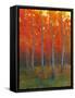 Changing Colors II-Tim O'toole-Framed Stretched Canvas