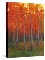 Changing Colors II-Tim O'toole-Stretched Canvas