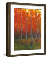 Changing Colors II-Tim O'toole-Framed Art Print