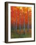 Changing Colors II-Tim O'toole-Framed Art Print