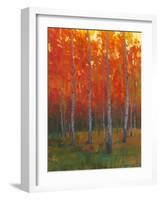 Changing Colors II-Tim O'toole-Framed Art Print