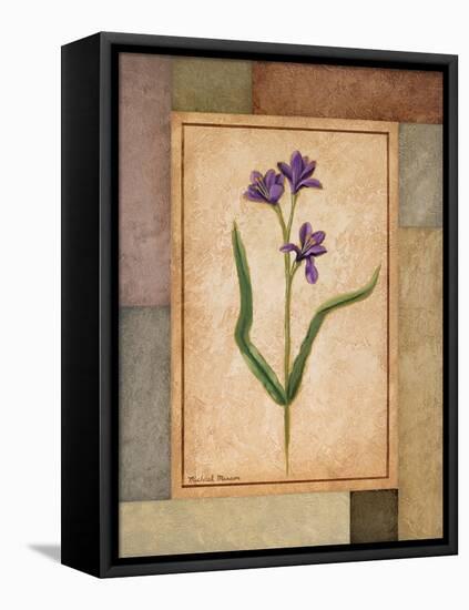 Changing Colors II-Michael Marcon-Framed Stretched Canvas