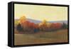 Changing Colors II-Tim OToole-Framed Stretched Canvas