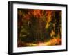 Changing Colors-Philippe Sainte-Laudy-Framed Photographic Print