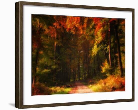 Changing Colors-Philippe Sainte-Laudy-Framed Photographic Print