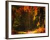 Changing Colors-Philippe Sainte-Laudy-Framed Photographic Print