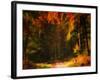 Changing Colors-Philippe Sainte-Laudy-Framed Photographic Print